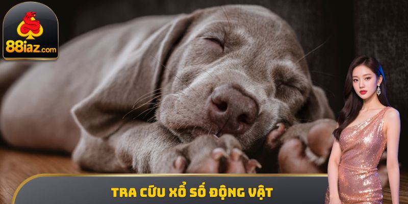 Tra cứu Giải mộng Xổ số động vật